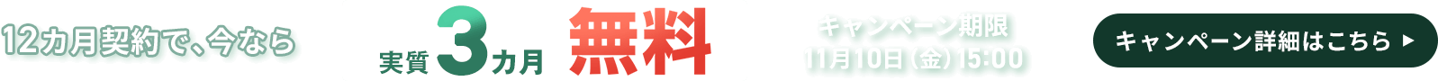 年契約で実質3カ月無料キャンペーン